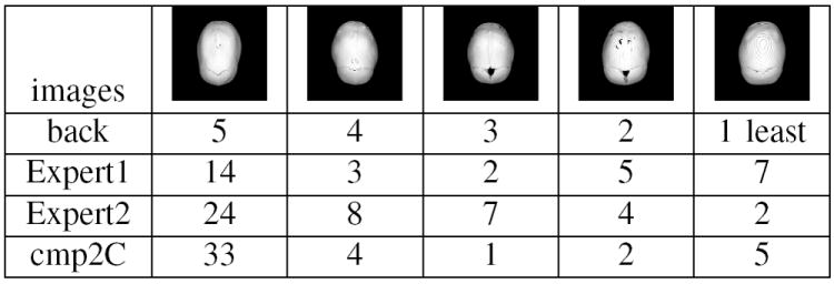 Fig. 12