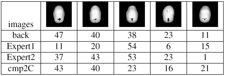 Fig. 13