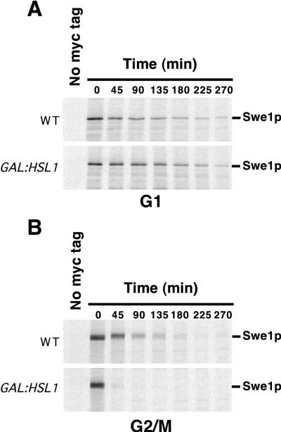 FIG. 7