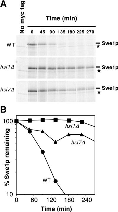 FIG. 5