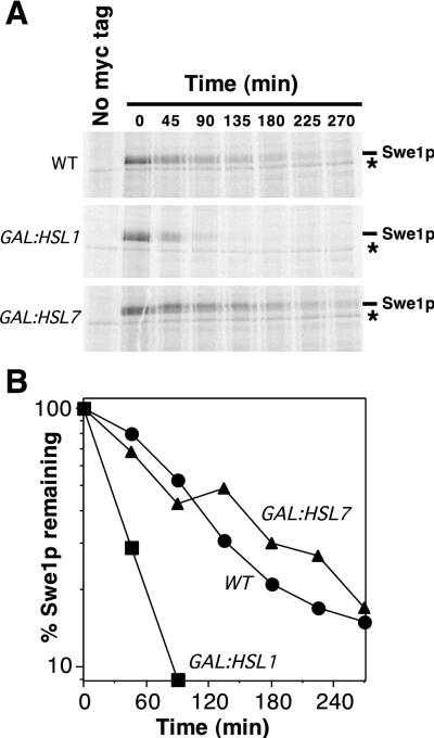 FIG. 6