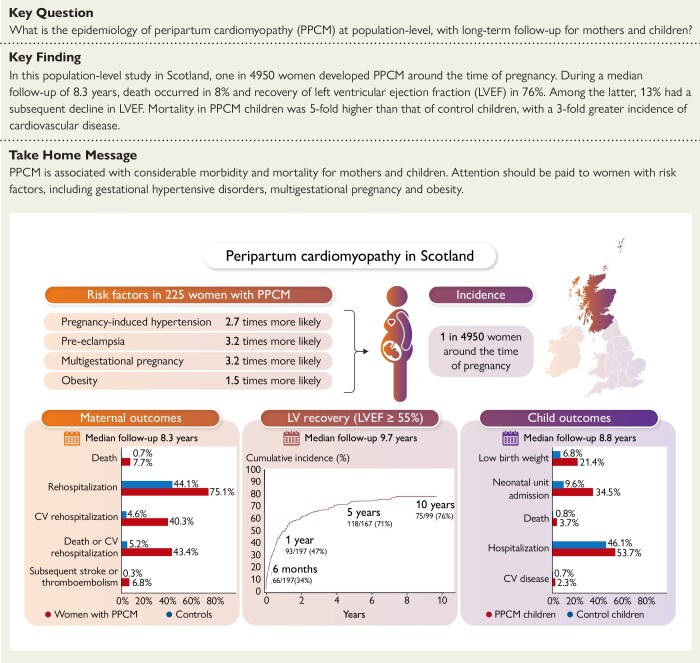 Graphical abstract