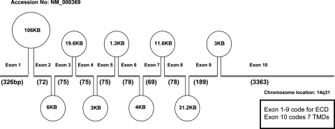 FIG. 2.