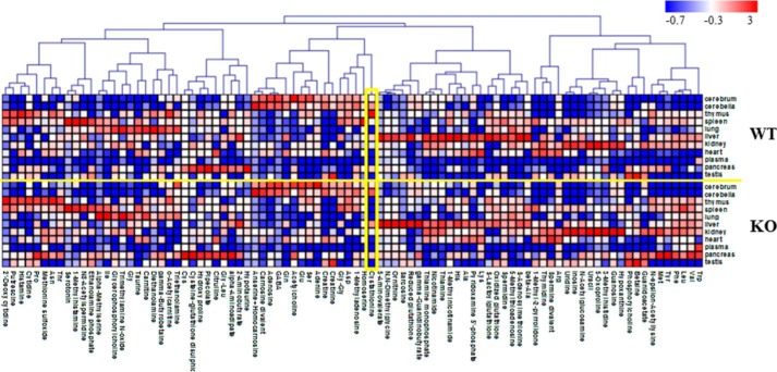 FIGURE 1.