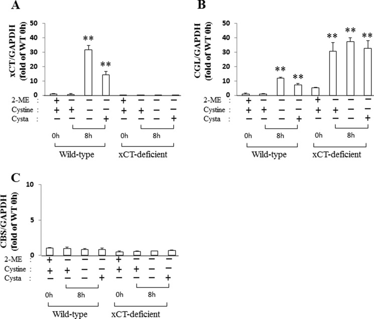 FIGURE 12.