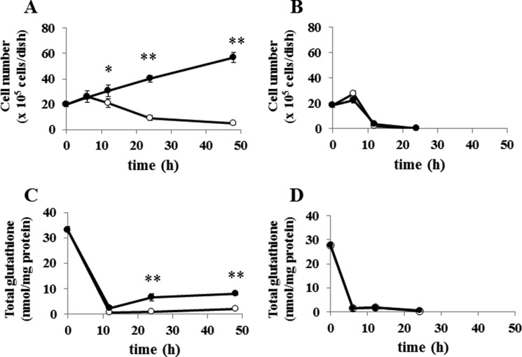 FIGURE 11.