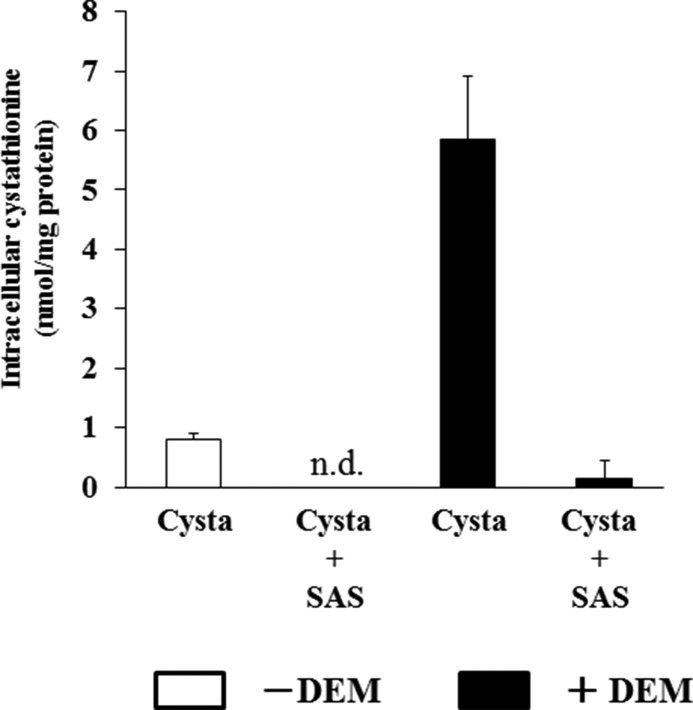 FIGURE 9.