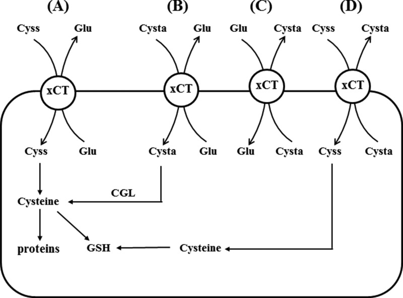 FIGURE 13.