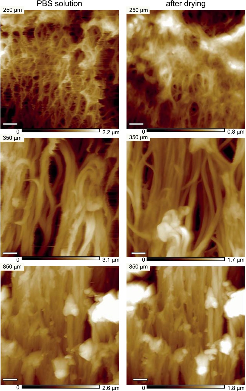 Fig. S4.