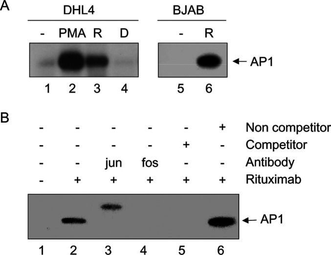 Fig. 7