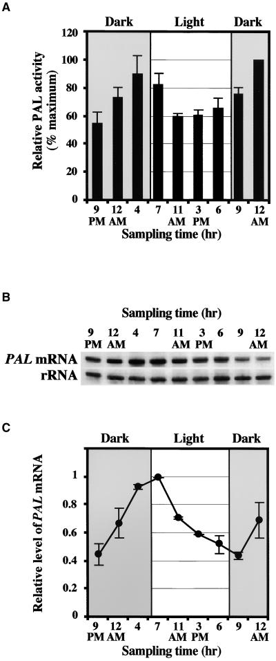 Figure 6.