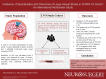 Graphical Abstract