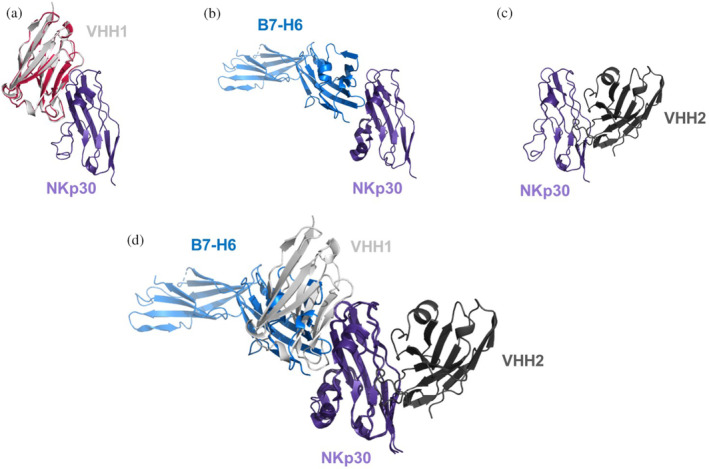 FIGURE 2