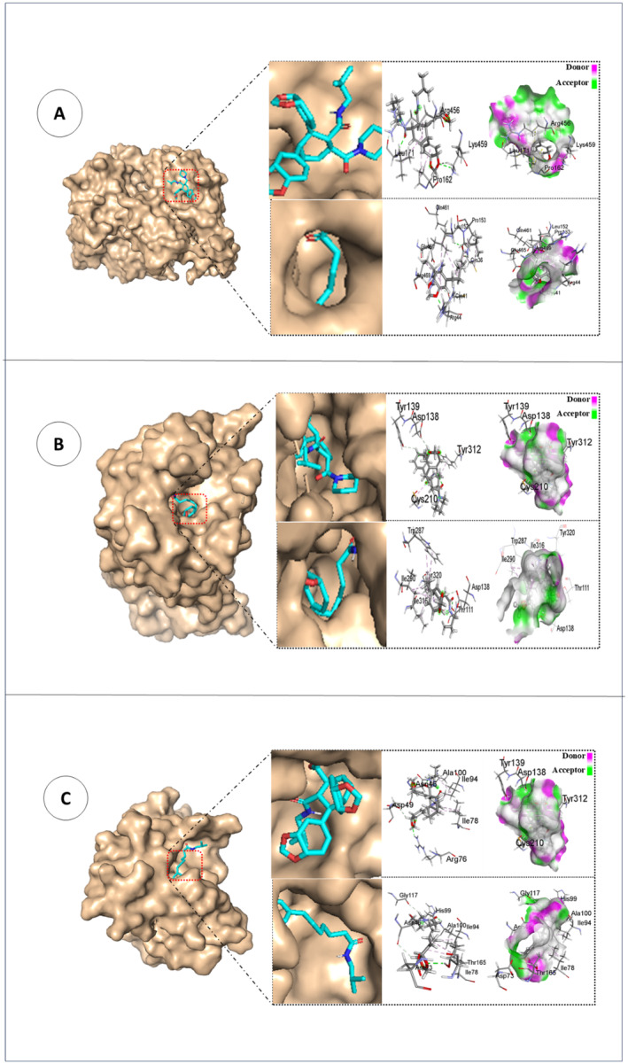 FIGURE 6