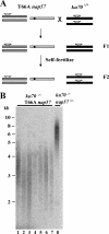 FIG. 7.