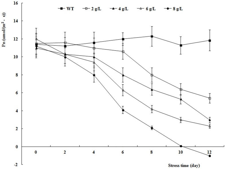 Fig 6