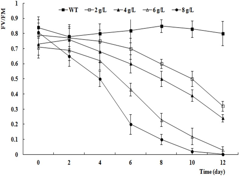 Fig 7