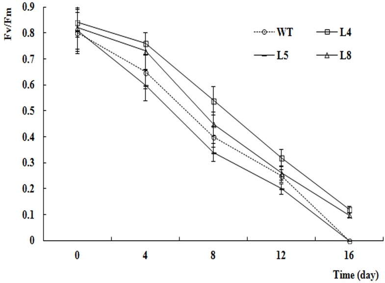 Fig 10