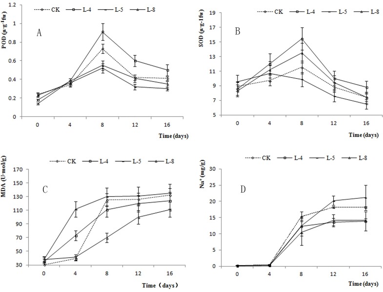 Fig 11