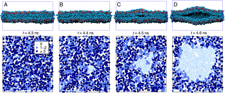 Fig. 3.