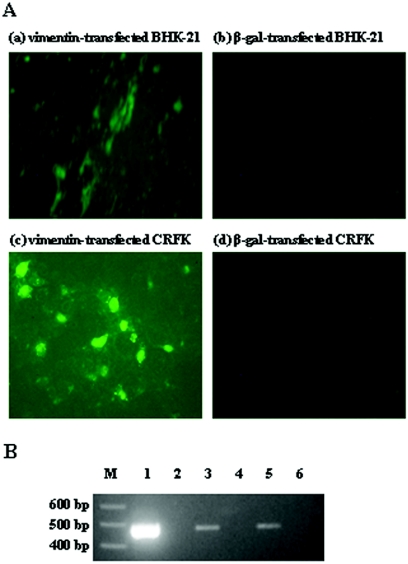 FIG. 6.