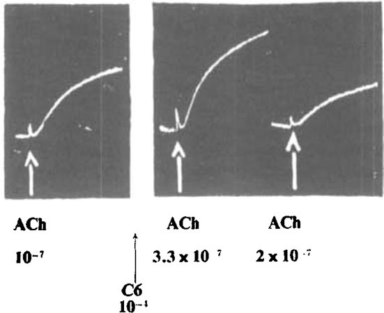 Fig. 14