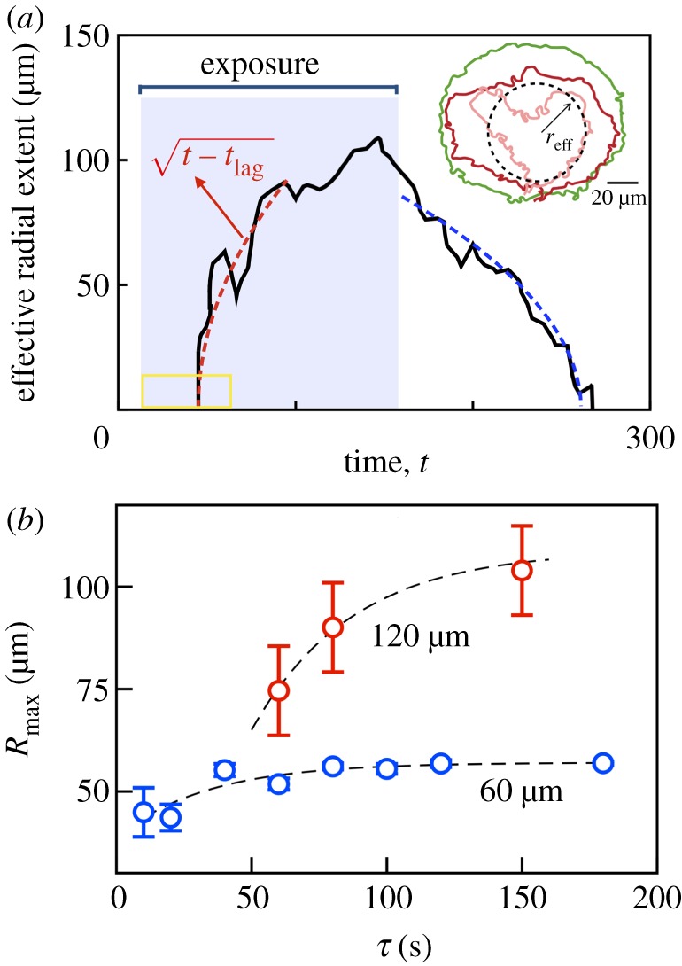 Figure 5.