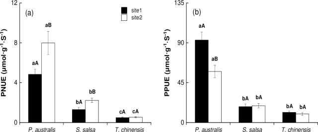 Fig 5