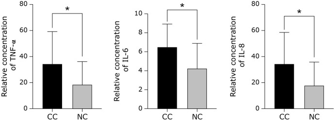 Fig. 6.