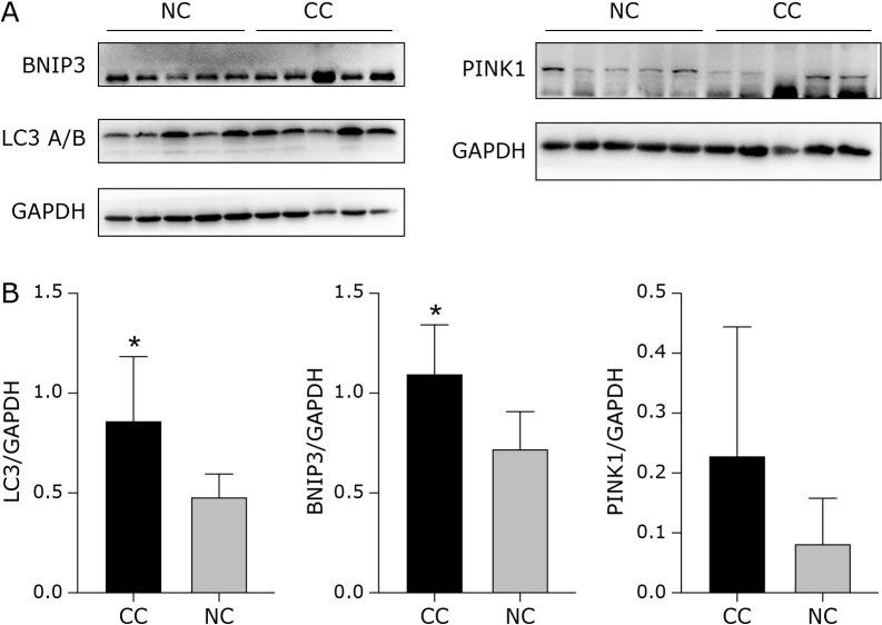 Fig. 4.