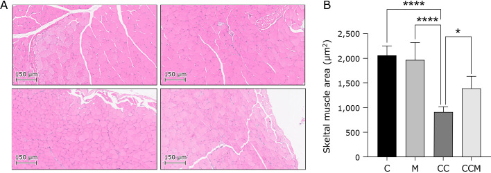 Fig. 8.