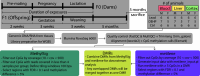Figure 1 is a flowchart with six steps. Step 1: F0 (Dams): The duration of exposures includes pre-mating, pregnancy, and lactation. The pre-mating exposure period was for 2 weeks, gestation was for 3 weeks, lactation was for 3 weeks, and sacrifice was after 5 months. Step 2: A tabular representation titled number of animals has three main columns, namely, blood, liver, and cortex. The blood, liver, and cortex columns are each subdivided into two columns, namely, male and female. Row 1: lead, 6,6,6,6,6,6. Row 2: D E H P, 7,5,7,5,7,5. Row 3: control, 6,6,6,6,6,6. Step 3: Genomic D N A or ribonucleic acid from tissues, library preparation for whole genome bisulfite sequencing. Step 4: Illumina NovaSeq 6000. Step 5: Quality control (FastQC and MultiQC) plus trimming (trim underscore galore) and alignment (bowtie2) plus cytosine base adjacent to a guanine calling (Bismark). Step 6: MethylSig: Filter out cytosine base adjacent to a guanine by coverage (10 less than coverage less than 500); Filter out cytosine base adjacent to a guanine with reads covered in less than 4 samples per group; define tiling windows with 100 basis points; select regions with a false discovery rate less than 0.1 and a methylation difference greater than 5 percent; Differentially Methylated Regions: Combine Differentially Methylated Regions from MethylSig and Metilene for downstream analysis, and any overlapped Differentially Methylated Regions will be merged together as one Differentially Methylated Region; and Metilene: Filter out cytosine base adjacent to a guanine by coverage (10 less than coverage less than 500); Generate input data with Metilene underscore input.pl, run metilene with greater than or equal to 5 cytosine base adjacent to a guanine in a differentially methylated region. Select regions with a false discovery rate less than 0.1 and a methylation difference greater than 5 percent.