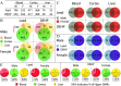 Figure 2A is a tabular representation with three main columns, namely, blood, cortex, and liver. The blood, cortex, and liver columns are each sub divided into three columns, namely, male and female. Row 1: Lead, 196, 235, 471, 568, 74, and 32. Row 2: di(2-ethylhexyl) phthalate, 234, 364, 417, 468, 49, and 32. Figure 2B is a set of four Venn diagrams. On the top, the two Venn diagrams are titled Male. On the left, the Venn diagram is titled Lead displays three circles. The circle on the left is labeled blood with 189 cases, the circle on the right is labeled liver with 70 cases, the circle at the bottom is labeled cortex with 463 cases. The area between left circle and bottom circle is labeled 5, the area between left circle and right circle is labeled 1, the area between right circle and bottom circle is labeled 2. The intersection area is labeled 1. On the right, the Venn diagram is titled di(2-ethylhexyl) phthalate displays three circles. The circle on the left is labeled blood with 227 cases, the circle on the right is labeled liver with 48 cases, the circle at the bottom is labeled cortex with 410 cases. The area between left circle and bottom circle is labeled 6, the area between left circle and right circle is labeled 0, the area between right circle and bottom circle is labeled 0. The intersection area is labeled 1. At the bottom, the two Venn diagrams are titled Female. On the left, the Venn diagram is titled Lead displays three circles. The circle on the left is labeled blood with 232 cases, the circle on the right is labeled liver with 29 cases, the circle at the bottom is labeled cortex with 564 cases. The area between left circle and bottom circle is labeled 2, the area between left circle and right circle is labeled 1, the area between right circle and bottom circle is labeled 2. The intersection area is labeled 0. On the right, the Venn diagram is titled di(2-ethylhexyl) phthalate displays three circles. The circle on the left is labeled blood with 352 cases, the circle on the right is labeled liver with 28 cases, the circle at the bottom is labeled cortex with 455 cases. The area between left circle and bottom circle is labeled 10, the area between left circle and right circle is labeled 1, the area between right circle and bottom circle is labeled 2. The intersection area is labeled 1. Figure 2C is a set of six Venn diagrams. On the top, the three Venn diagrams are titled lead. On the left, the Venn diagram is titled Blood displays two circles. The circle on the left is labeled male with 190 cases and the circle on the right is labeled female with 229 cases. The intersection area is labeled 6. At the center, the Venn diagram is titled Cortex displays two circles. The circle on the left is labeled male with 458 cases and the circle on the right is labeled female with 555 cases. The intersection area is labeled 13. On the right, the Venn diagram is titled Liver displays two circles. The circle on the left is labeled male with 74 cases and the circle on the right is labeled female with 32 cases. The intersection area is labeled 0. At the bottom, the three Venn diagrams are titled di(2-ethylhexyl) phthalate. On the left, the Venn diagram is titled Blood displays two circles. The circle on the left is labeled male with 226 cases and the circle on the right is labeled female with 356 cases. The intersection area is labeled 8. At the center, the Venn diagram is titled Cortex displays two circles. The circle on the left is labeled male with 409 cases and the circle on the right is labeled female with 460 cases. The intersection area is labeled 8. On the right, the Venn diagram is titled Liver displays two circles. The circle on the left is labeled male with 49 cases and the circle on the right is labeled female with 32 cases. The intersection area is labeled 0. Figure 2D is a set of six Venn diagrams. On the top, the three Venn diagrams are titled lead. On the left, the Venn diagram is titled Blood displays two circles. The circle on the left is labeled male with 177 cases and the circle on the right is labeled female with 215 cases. The intersection area is labeled 19. At the center, the Venn diagram is titled Cortex displays two circles. The circle on the left is labeled male with 416 cases and the circle on the right is labeled female with 362 cases. The intersection area is labeled 55. On the right, the Venn diagram is titled Liver displays two circles. The circle on the left is labeled male with 72 cases and the circle on the right is labeled female with 47 cases. The intersection area is labeled 2. At the bottom, the three Venn diagrams are titled di(2-ethylhexyl) phthalate. On the left, the Venn diagram is titled Blood displays two circles. The circle on the left is labeled male with 210 cases and the circle on the right is labeled female with 339 cases. The intersection area is labeled 25. At the center, the Venn diagram is titled Cortex displays two circles. The circle on the left is labeled male with 529 cases and the circle on the right is labeled female with 429 cases. The intersection area is labeled 39. On the right, the Venn diagram is titled Liver displays two circles. The circle on the left is labeled male with 31 cases and the circle on the right is labeled female with 31 cases. The intersection area is labeled 1. Figure 2E is a set of twelve pie charts. On the left, the six pie charts are titled Lead. From the left, the three pie charts are titled Male displays the following information: Blood 45 percent, cortex 20 percent, and liver 64 percent. On the right, the pie charts are titled Female displays the following information: Blood 72 percent, cortex 46 percent, and liver 50 percent. On the right, the six pie charts are titled di(2-ethylhexyl) phthalate. From the left, the three pie charts are titled Male displays the following information: Blood 65 percent, cortex 53 percent, and liver 40 percent. On the right, the pie charts are titled Female displays the following information: Blood 65 percent, cortex 39 percent, and liver 53 percent. The X X percent indicates percentage of hyper Differentially Methylated Regions.