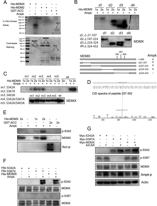 FIG 2