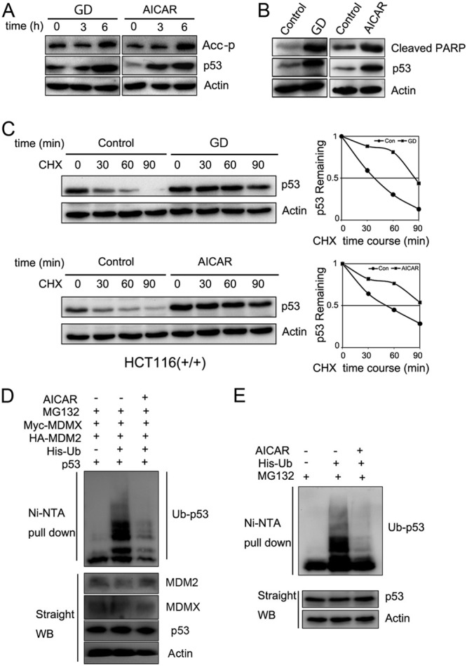 FIG 1