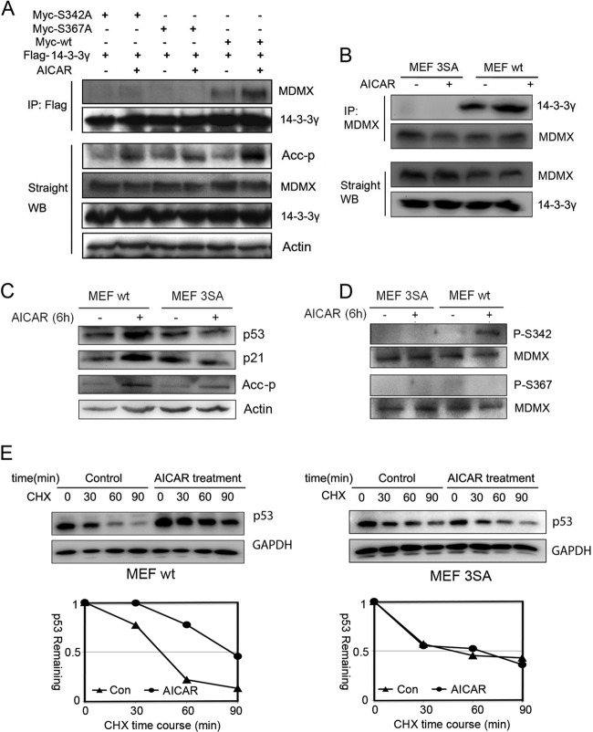 FIG 3