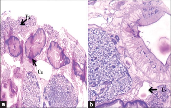 Figure-5