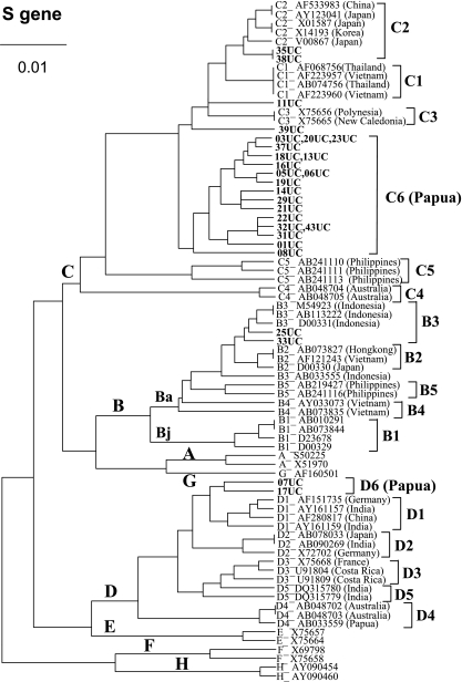 FIG. 1.