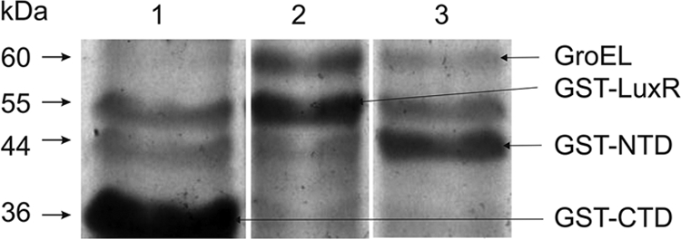 FIG. 3.