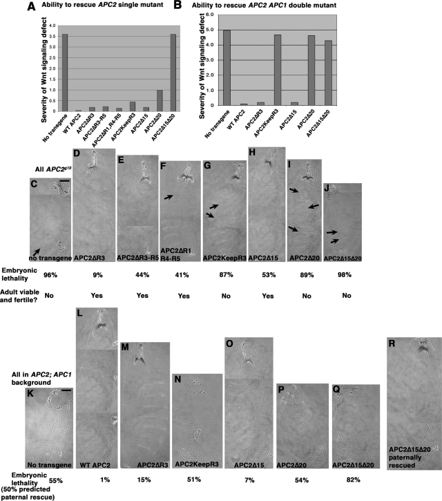 FIGURE 3: