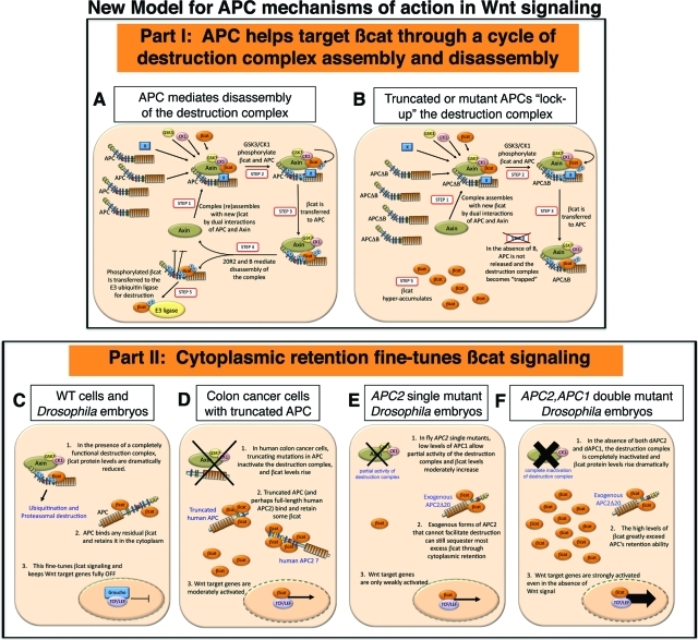 FIGURE 10: