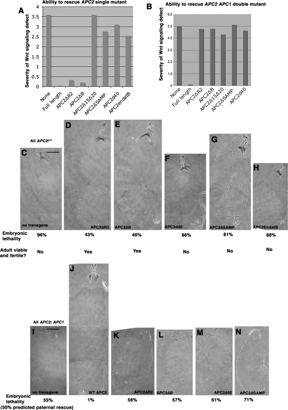 FIGURE 6: