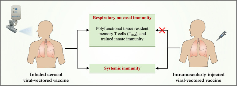 graphic file with name jciinsight-7-155655-g230.jpg