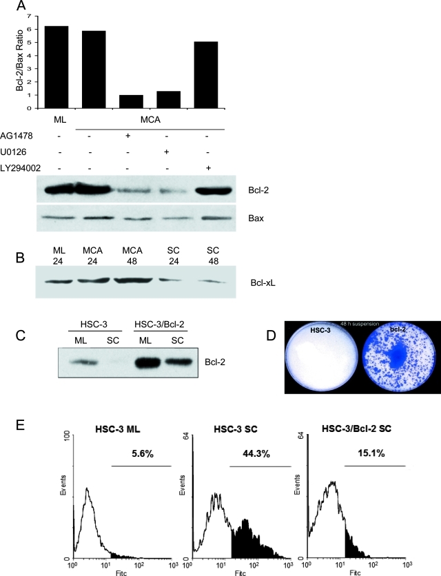 Figure 5-4260