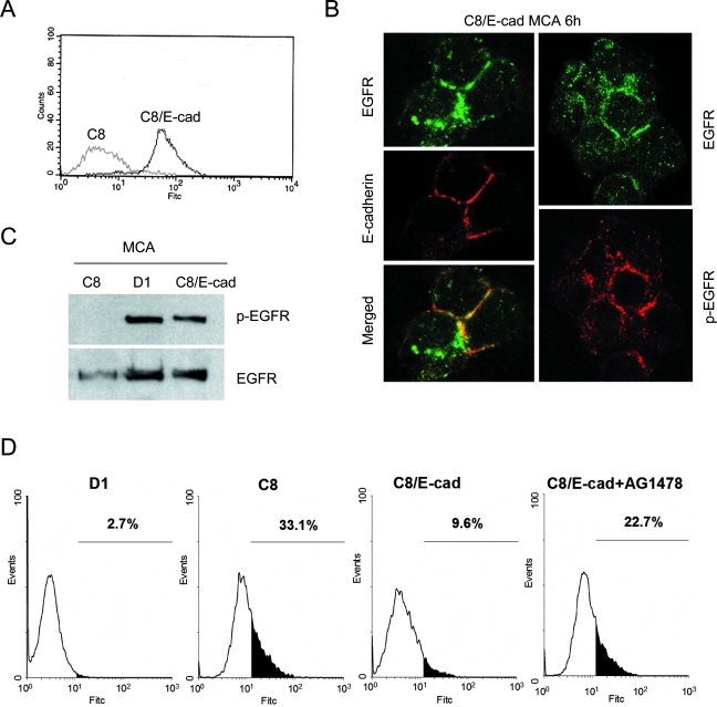 Figure 3-4260