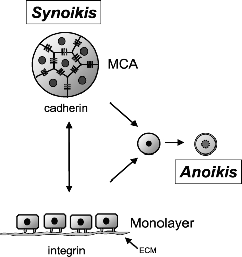 Figure 10-4260