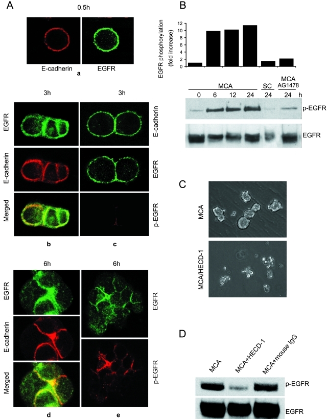 Figure 1-4260