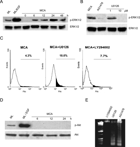 Figure 4-4260