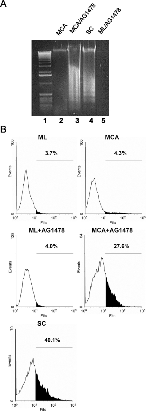 Figure 2-4260