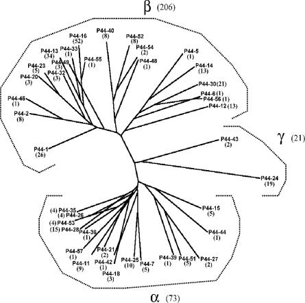 FIG. 3.